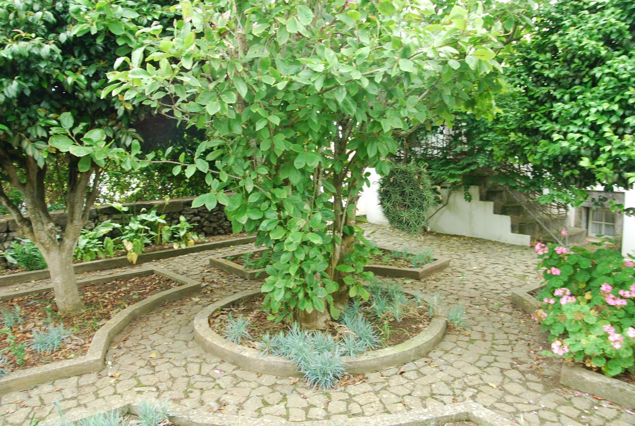 Quinta Dos Figos "5 Trevos Gold" Villa Praia da Vitória Exterior foto